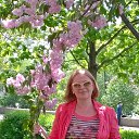 ���������� ������ �� ������� ���� ����������