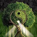 ���� �������, �����������, 67 ��� - ��������� 4 ������� 2017 � ������ ���� ����������