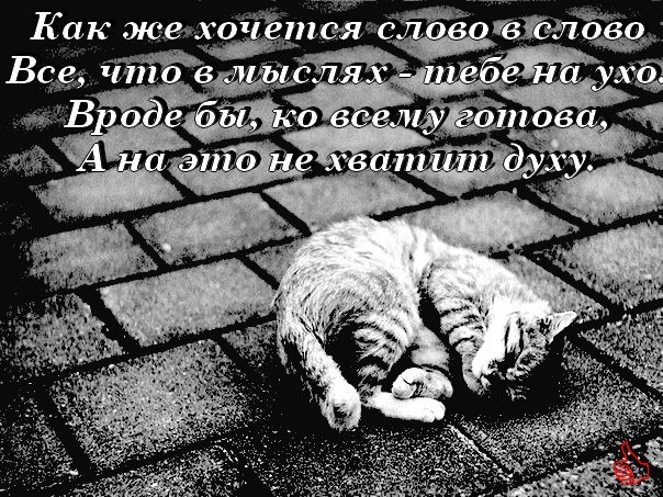 ������� - 30 ��� 2017 � 14:48