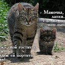 ���� Zenja, �������� - ��������� 21 ��� 2017 � ������ �Mobile Uploads�