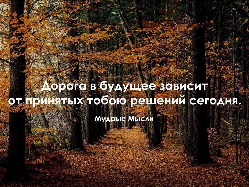    - 13  2017  17:26