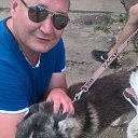 ���� ����, ���������, 42 ���� - ��������� 28 ������� 2017 � ������ ���� ����������