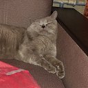 ���� �����, ���������, 45 ��� - ��������� 24 ������� 2017 � ������ ���� ����������