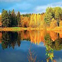 ���� �������, ������ - ��������� 24 �������� 2017 � ������ ������ ��������