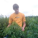 ���� ����, �������, 37 ��� - ��������� 30 ������� 2017