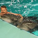 ���� ��������, ��������, 57 ��� - ��������� 9 ��� 2017 � ������ ���� ����������