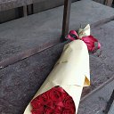 ���� ����, ������, 43 ���� - ��������� 22 ������� 2017 � ������ ���� ����������