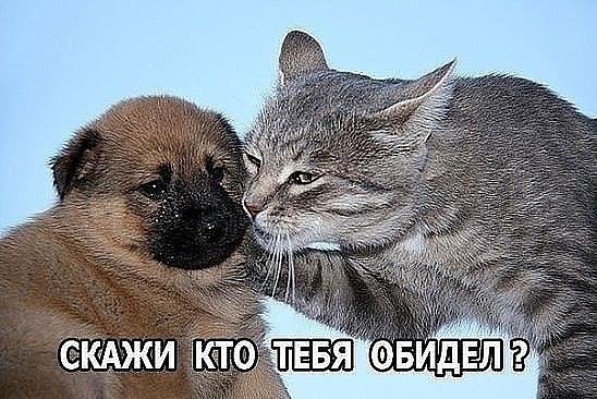 # - 2
