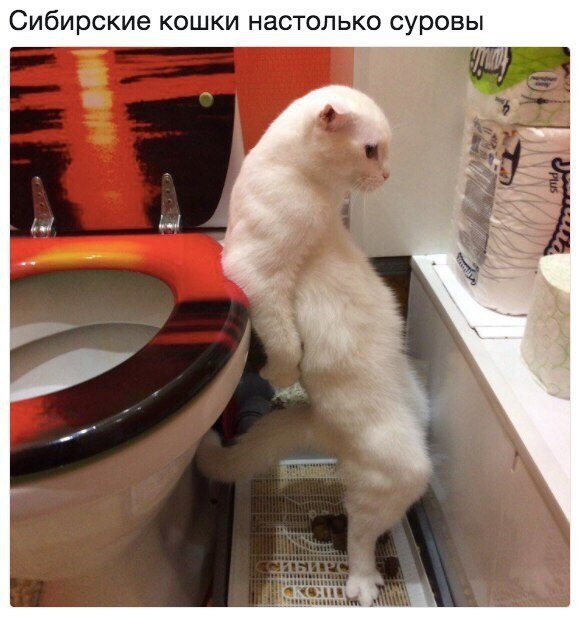    :D - 24  2017  03:50