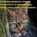 ���� Alekcandr, ������ - ��������� 27 ������� 2017 � ������ �������� ��������