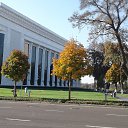 ���� ��������, ����� - ��������� 17 ������ 2017 � ������ �������� ������ 2016�