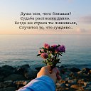 ���� ����, ��� - ��������� 14 �������� 2017 � ������ ������ ��������