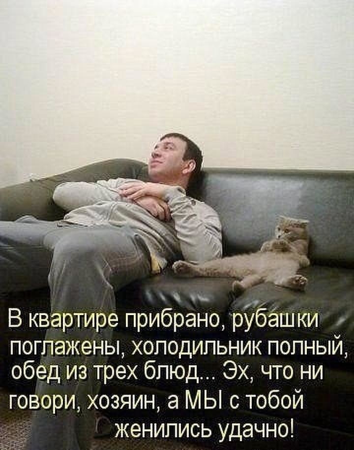 Видео юмор для мужчины. Лежит на диване прикол. Мужик на диване прикольные. Мужчина на диване юмор. Мужик с котом на диване.