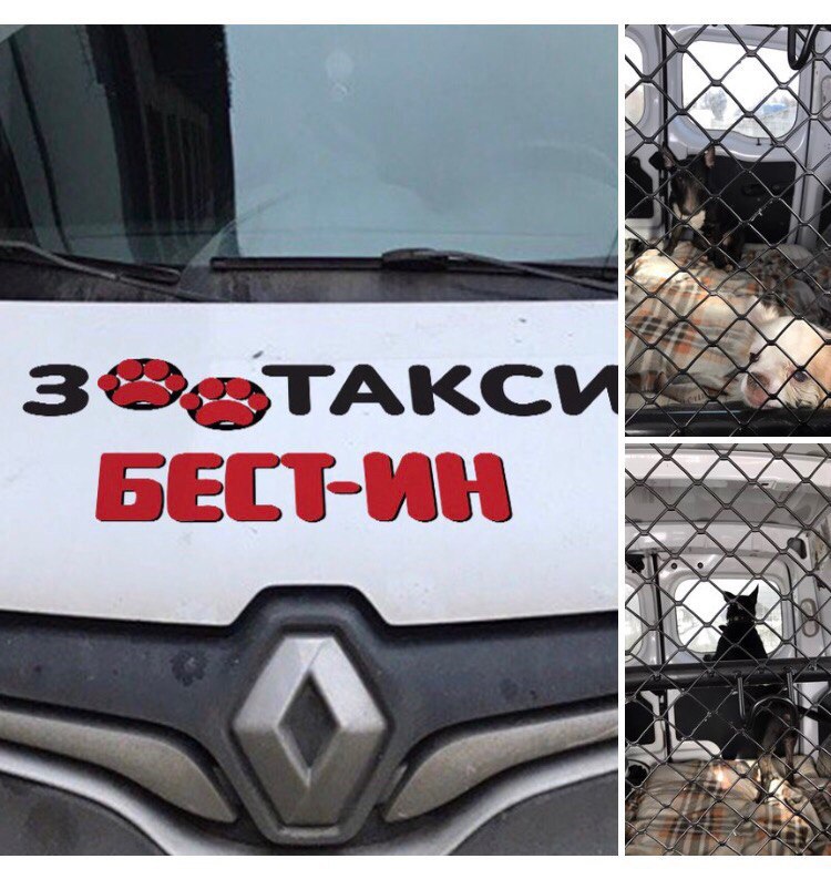 Магазинчик Бультерьера Брабуса (https://fotostrana.ru/away?to=/sl/MU3).Представляет натуральные лакомства без ... - 5