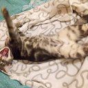 ���� ���������, ������-��-����, 53 ���� - ��������� 21 �������� 2017