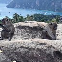 ���� �������, ���������, 46 ��� - ��������� 19 ������� 2017 � ������ ����������