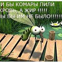 ���� �������, ���, 52 ���� - ��������� 11 ������� 2017 � ������ ������ ��������