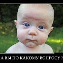 ���� Nalex, ������ - ��������� 25 ���� 2017 � ������ ������ ��������