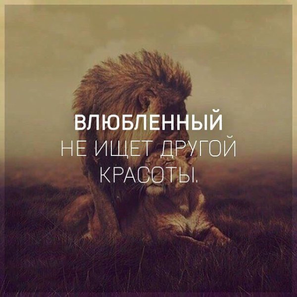  | ,  - 11  2017  08:15