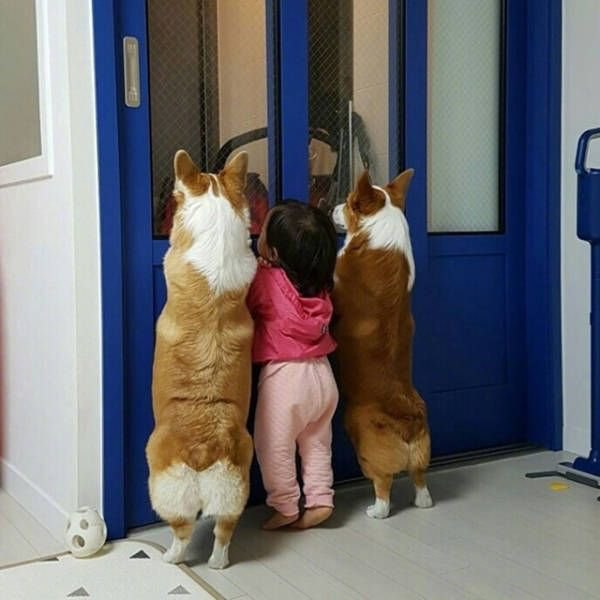 .