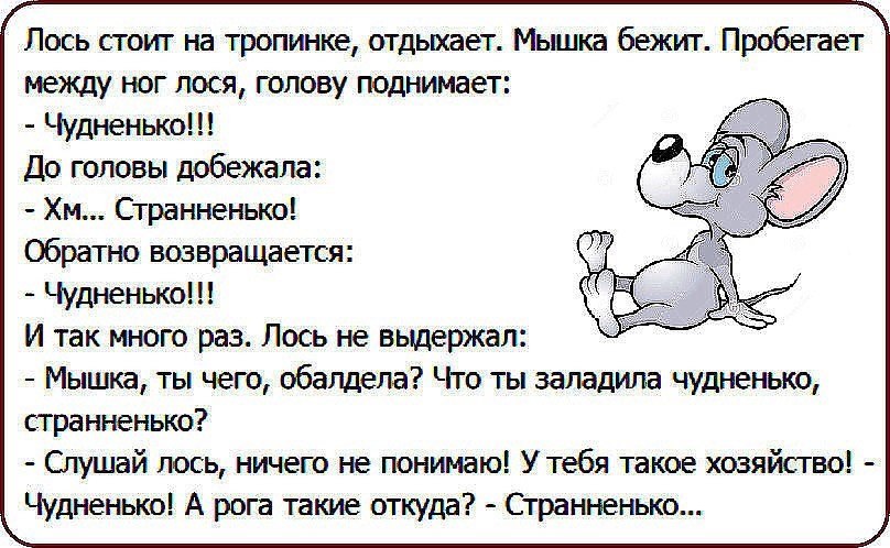 Comedy Club - 5 ������� 2017 � 07:14