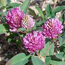 ���� �����, �����, 64 ���� - ��������� 10 ���� 2017 � ������ �� ��� - ��������!!!)))�