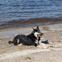 ���� ����, �������������� - ��������� 22 ���� 2017 � ������ �������� � �������� 22.07.2017�