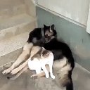 ���� ����, ������ ����� - ��������� 8 ������ 2017 � ������ ������