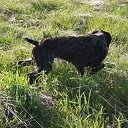 ���� ����, ���������, 60 ��� - ��������� 3 ���� 2017 � ������ ������