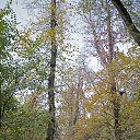 ���� ���������, ������ - ��������� 29 ������� 2017 � ������ ��������� �� ���� ����� 15 ������� 2017 ����