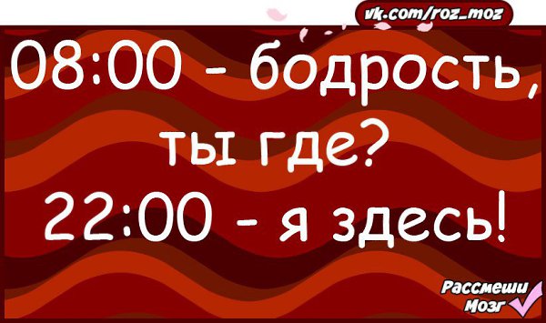 �������� - 9 ������ 2017 � 22:18