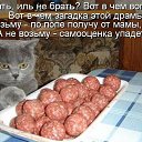 ���� �������, ������������, 55 ��� - ��������� 1 ��� 2017 � ������ ������ ��������