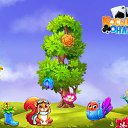 ���� Kobi, �����������, 51 ��� - ��������� 5 ������ 2017 � ������ �������� �������-�������