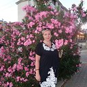 ���� �����, ������ ��������, 51 ��� - ��������� 26 ���� 2017