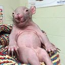 ���� ������, ������ - ��������� 31 ������� 2017 � ������ �������