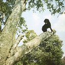 ���� ����, �����-���������, 57 ��� - ��������� 25 ������ 2017 � ������ ������ ��������