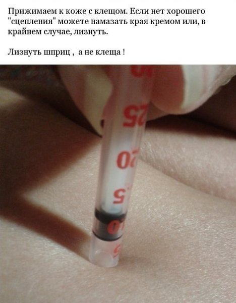 Как 100% вытащить клеща, не оставивляя заражения: - 5