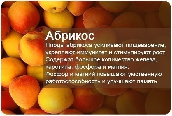      - 5