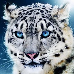 ���� ������, �������, 38 ��� - ��������� 21 ������ 2017