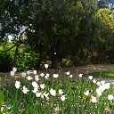  , , 60  -  17  2017      ,17.05.17.