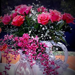 ���� �������, ������, 54 ���� - ��������� 3 ������� 2017