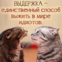 ���� �������, ������� - ��������� 29 ������� 2017 � ������ ������ ��������