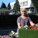 ���� ������, ���������, 47 ��� - ��������� 13 �������� 2017 � ������ ���� ����������