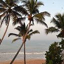 ���� ������, ������, 53 ���� - ��������� 4 ��� 2017 � ������ ���� �����02.2017.�