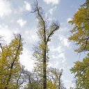 ���� ���������, ������ - ��������� 29 ������� 2017 � ������ ��������� �� ���� ����� 15 ������� 2017 ����