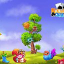 ���� ����, ����� - ��������� 17 ������� 2017 � ������ �������� �������-�������