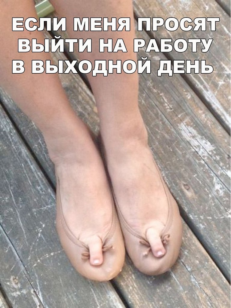    :D - 4  2017  02:34