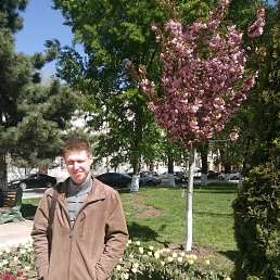 ���� ���������, ������, 52 ���� - ��������� 27 ������� 2017