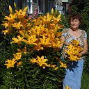 ���� ������, ������� - ��������� 2 ������� 2017 � ������ ���� ����������