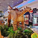 ���� �������, �������� - ��������� 6 ��� 2017 � ������ ���������.������-2016�.�